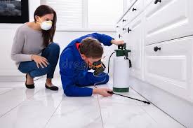 Best Real Estate Pest Inspections  in Innsbrook, VA